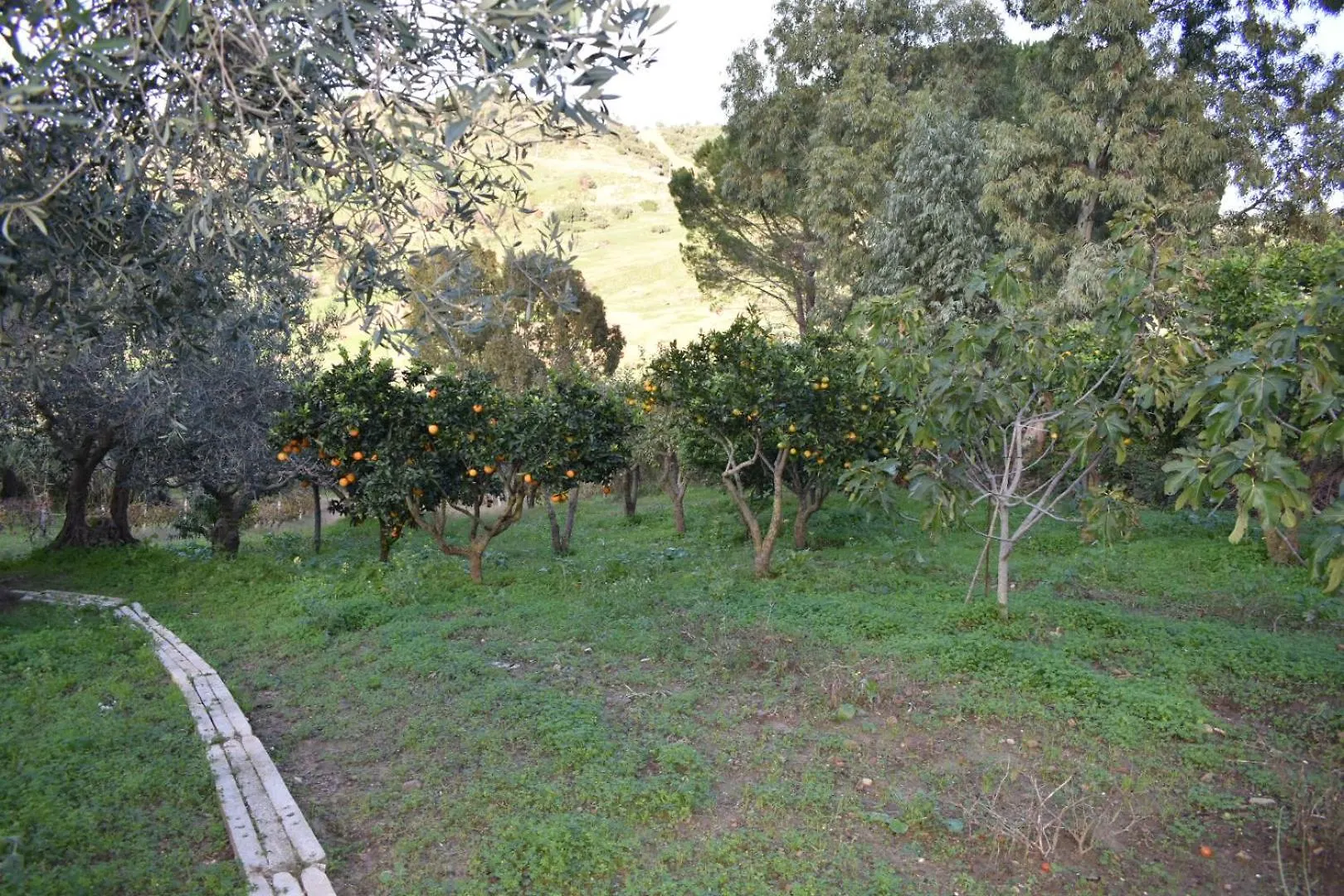 La Casetta Nel Bosco Apartment Calatafimi