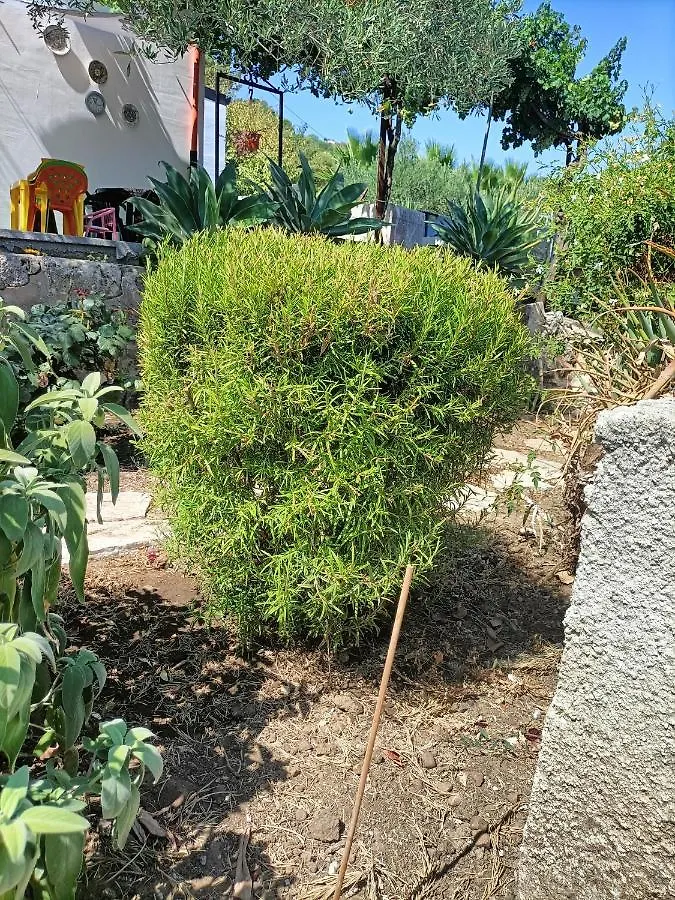 Apartmán La Casetta Nel Bosco Calatafimi 0*,